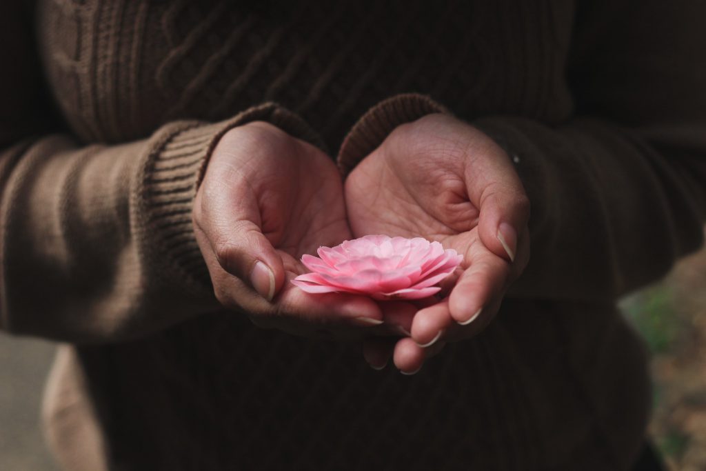 hands-holding-flower