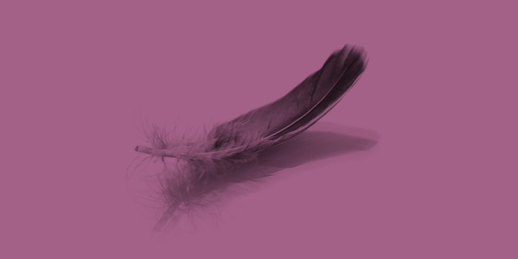 Feather on a purple background. Recovery mantras to help you stay on track