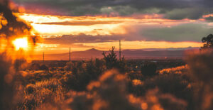 New Mexico in the sunset