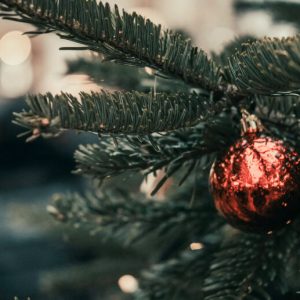 Closeup on a shiny red ornament hanging on an outdoor Christmas tree.