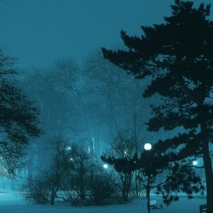 A dark winter landscape, with snow on the ground and lightposts providing small spots of light.